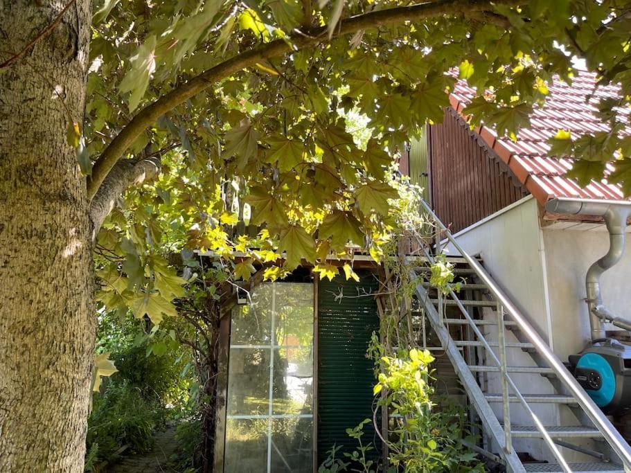 Ferienwohnung Mit Sonnenterrasse, Monteursunterkunft, Gaestewohnung Klipphausen Exterior foto